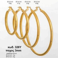 Σκουλαρίκια Κρίκοι Ασημένια Επιχρυσωμένα - lu326Y