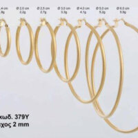 Σκουλαρίκια Κρίκοι Ασημένιοι Επιχρυσωμένοι - lu379Y