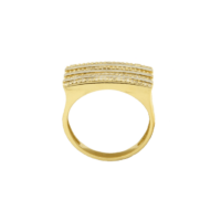 Δαχτυλίδι Χρυσό & Λευκόχρυσο14Κ με Ζιργκόν - gr070