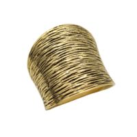 Ασημένιο Δαχτυλίδι Επιχρυσωμένο - as2565