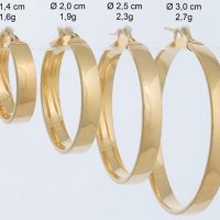 Ασημένιοι Κρίκοι Επιχρυσωμένοι - lu434y