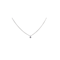 Ασημένιο Κολιέ Ανθάκι - sn156