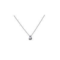 Ασημένιο Γάντι του Μποξ - sn2687