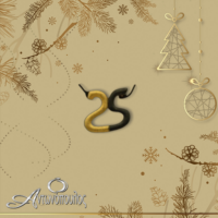 Ασημένιο Δίχρωμο Μενταγιόν Γούρι 2025 - lucky25_kg11