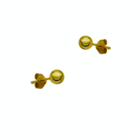 Επίχρυσα Σκουλαρίκια από Ασήμι - se3034g