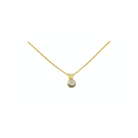 Δίχρωμο Μονόπετρο Κολιέ Χρυσό & Λευκόχρυσο 14Κ - gn1078