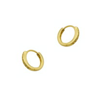 Επίχρυσα Κρικάκια από Ασήμι & Ζιρκόν - es2819y