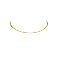 Ασημένιο Κολιέ με Επιχρύσωση & 2 Όψεις - sn817d