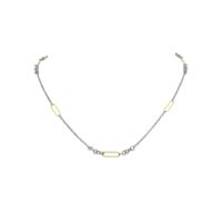 Δίχρωμο Κολιέ από Ασήμι Επιχρυσωμένο - sn00017