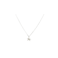 Κολιέ Αστέρι Ασημένιο - sn045