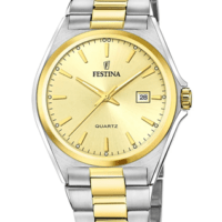 Ρολόι Festina Δίχρωμο Ανδρικό με Μπρασελέ - f20554_3