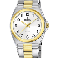 Ρολόι Festina Δίχρωμο Γυναικείο με Μπρασελέ - f20556_1